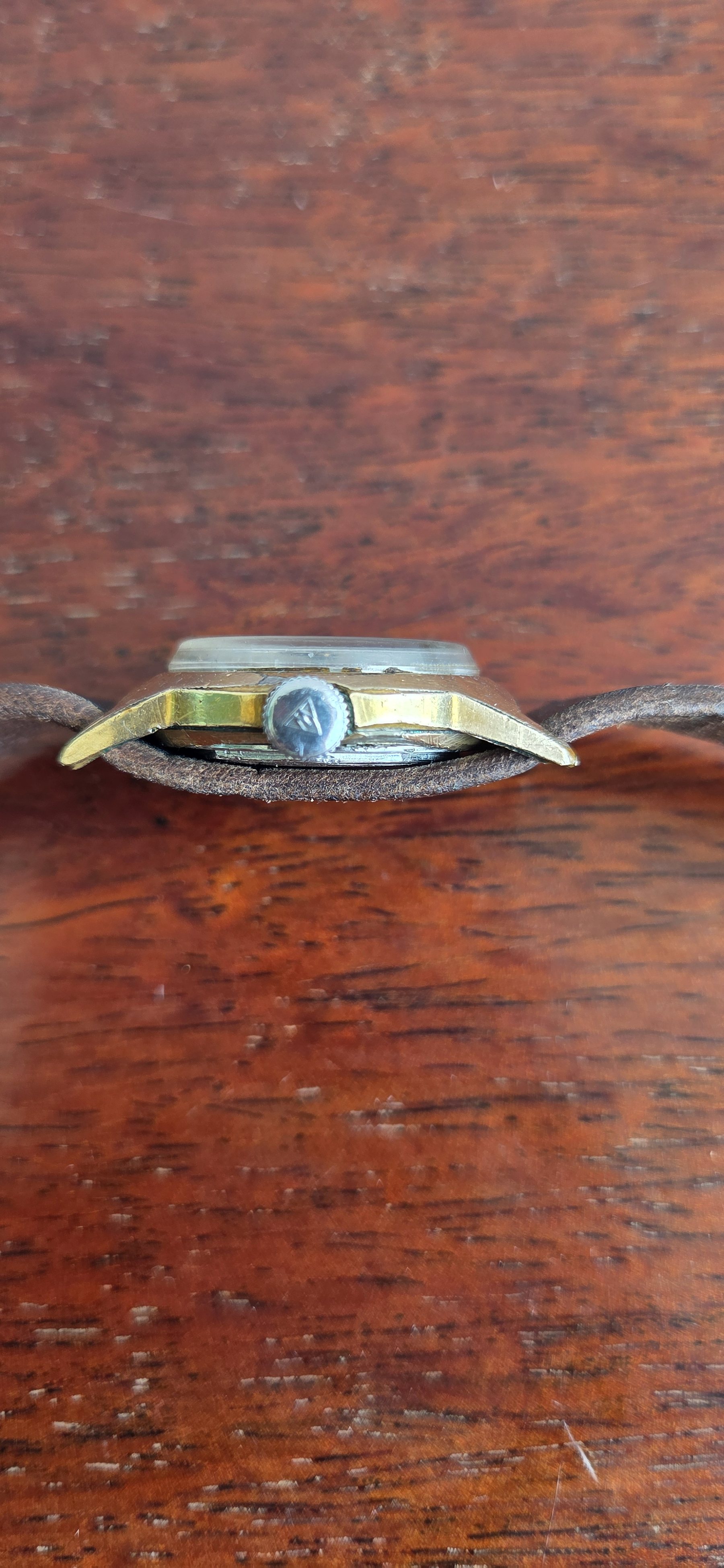 Profile view showing the case flank and the crown.